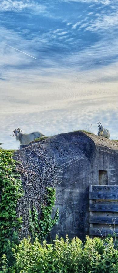 Vakantiehuis De Bunker جوليانادورب المظهر الخارجي الصورة